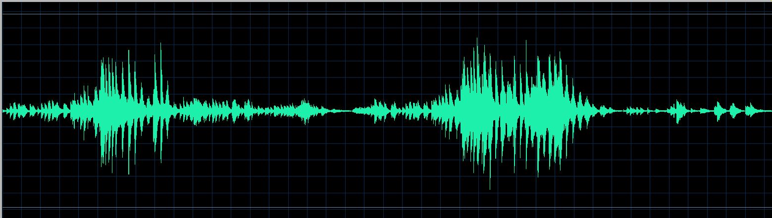 Izumi Tateno waveform
