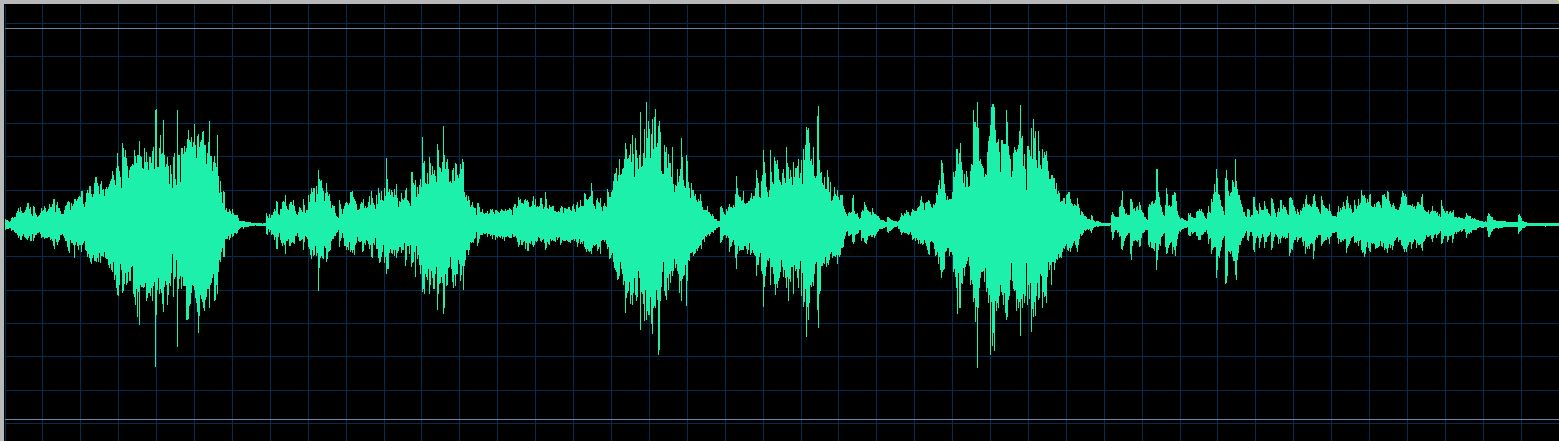 Rudy waveform