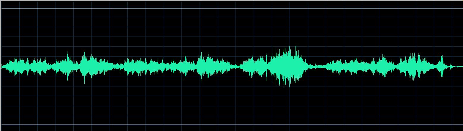 Rudy waveform