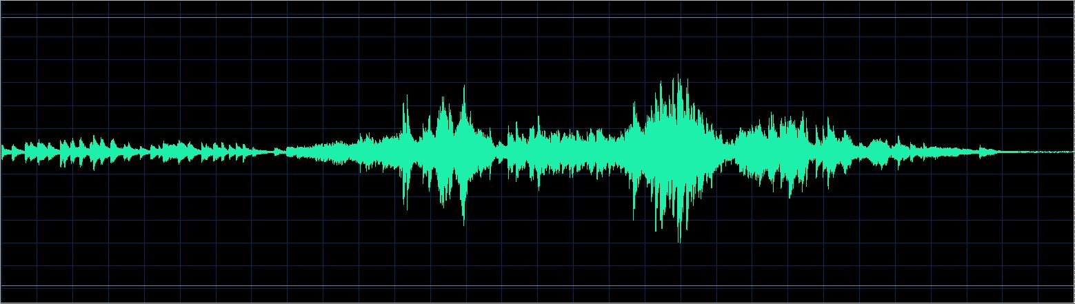 Michael Endres waveform