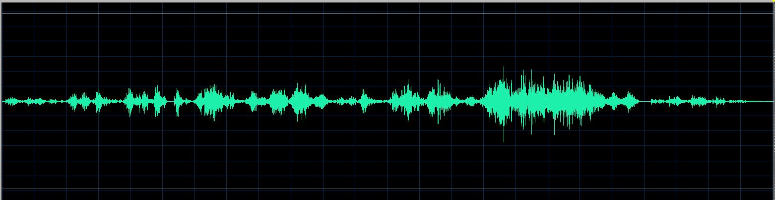 Fiorentino waveform