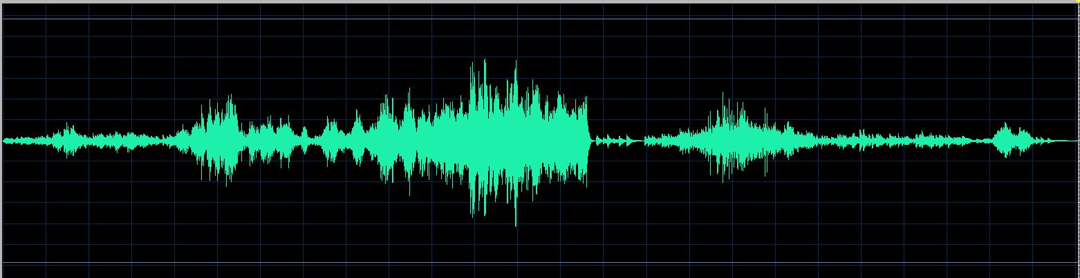 Fiorentino waveform