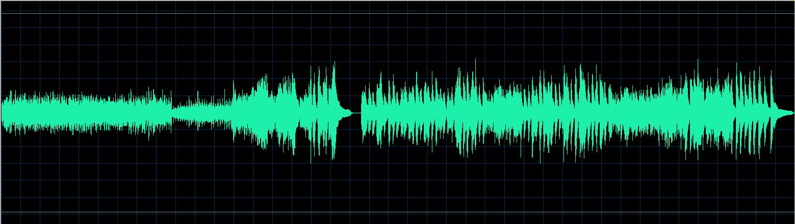 Robert Riefling waveform