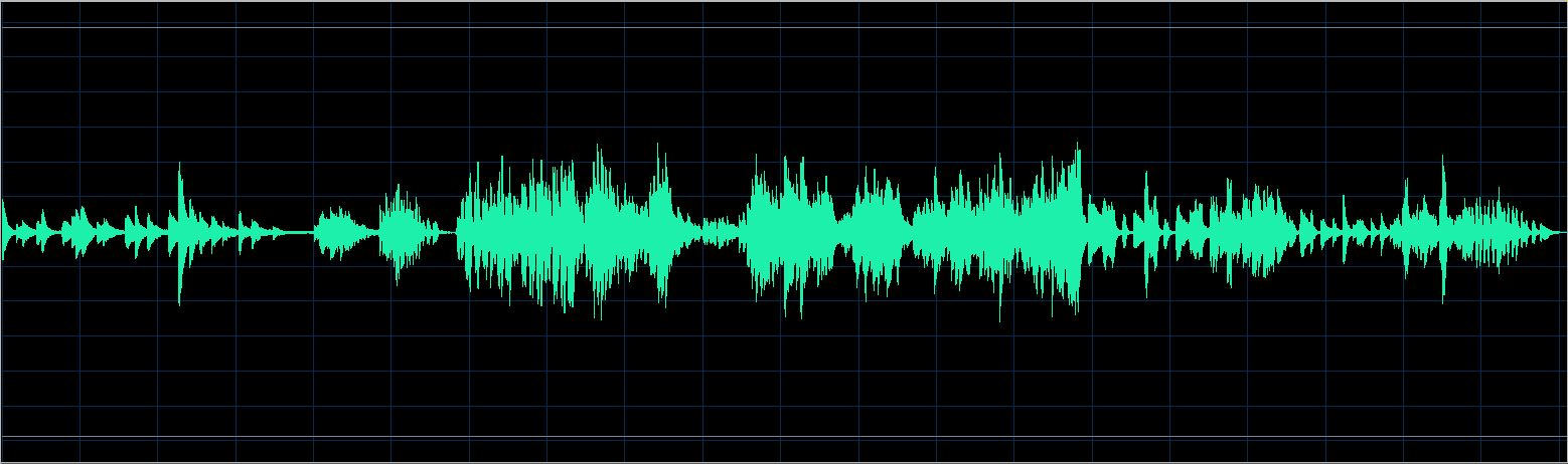 Walter Chodack waveform