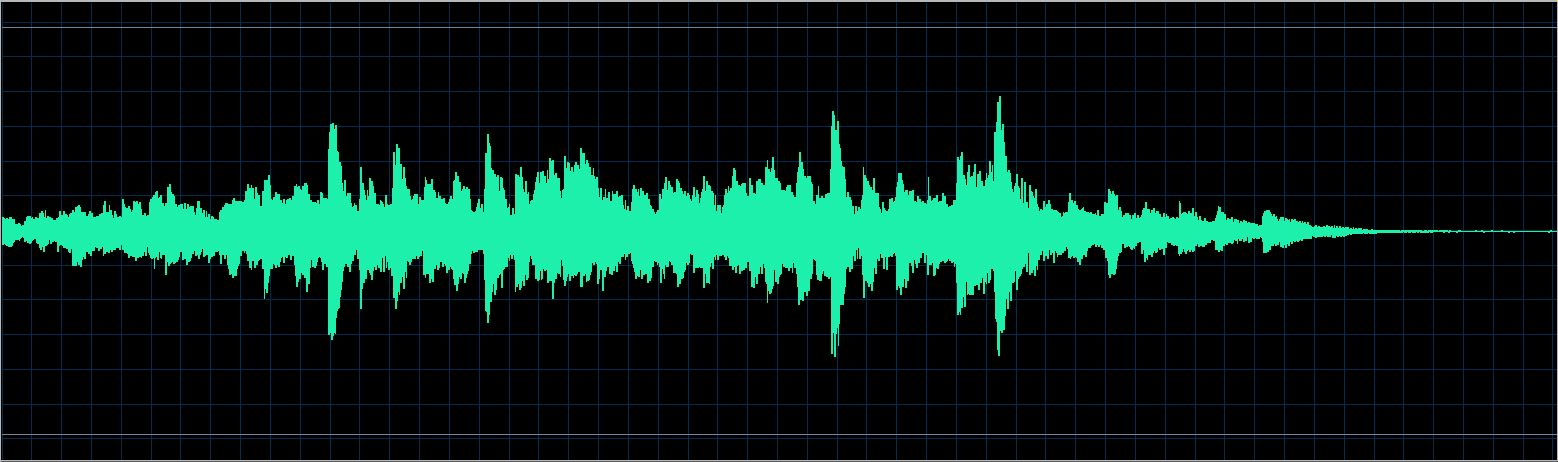 Walter Chodack waveform