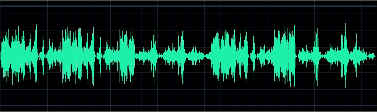 Walter Chodack waveform
