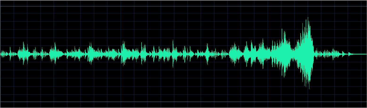 Walter Chodack waveform