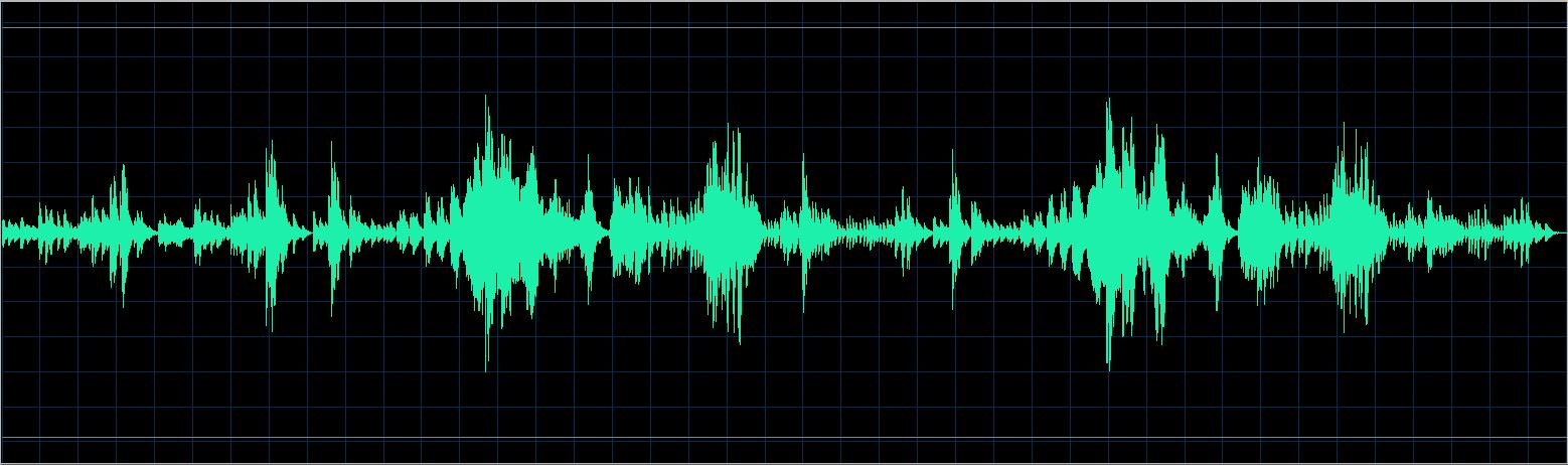 Walter Chodack waveform