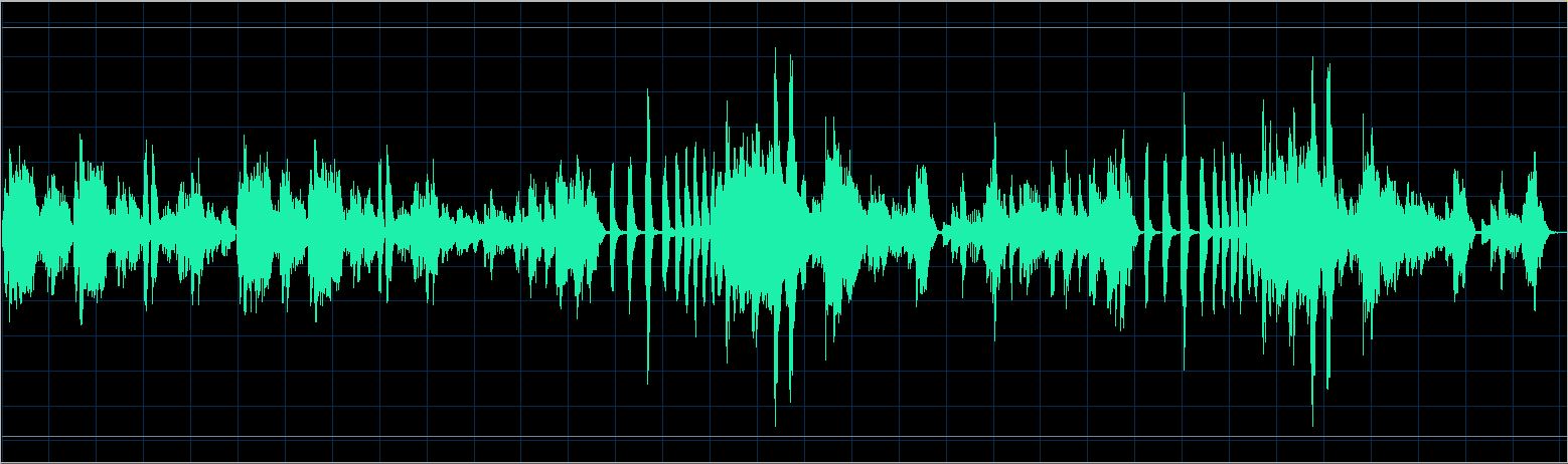 Walter Chodack waveform