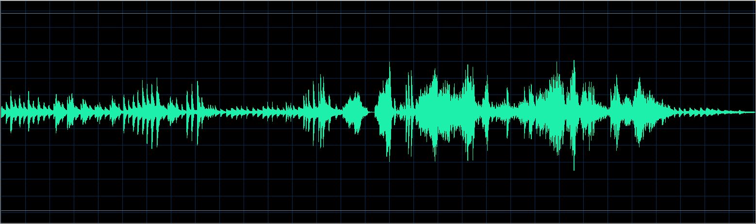Walter Chodack waveform