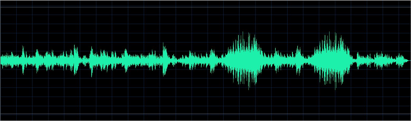 Walter Chodack waveform