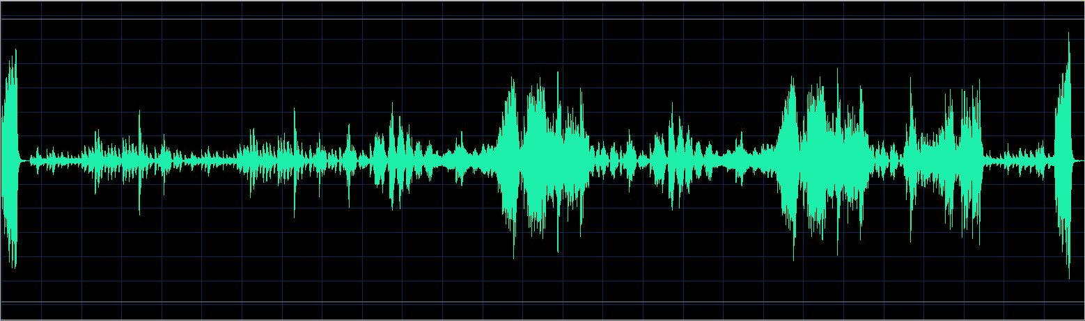 Walter Chodack waveform