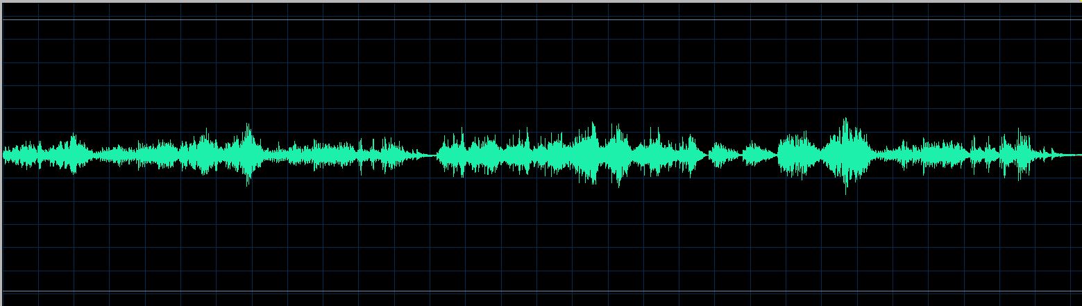 Rudy waveform