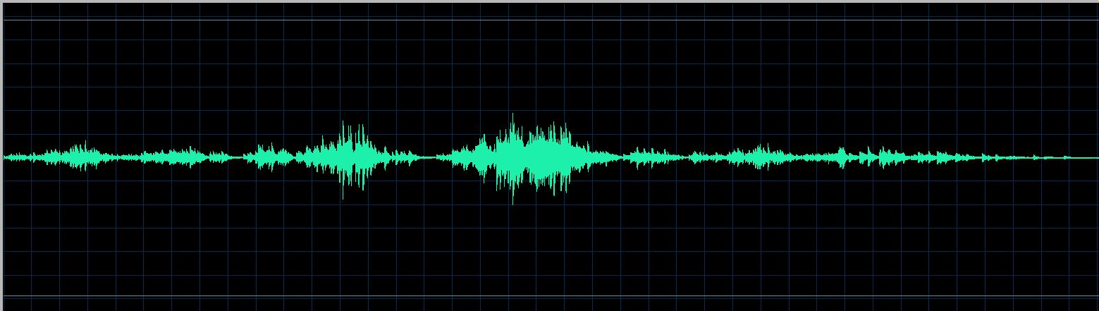 Rudy waveform