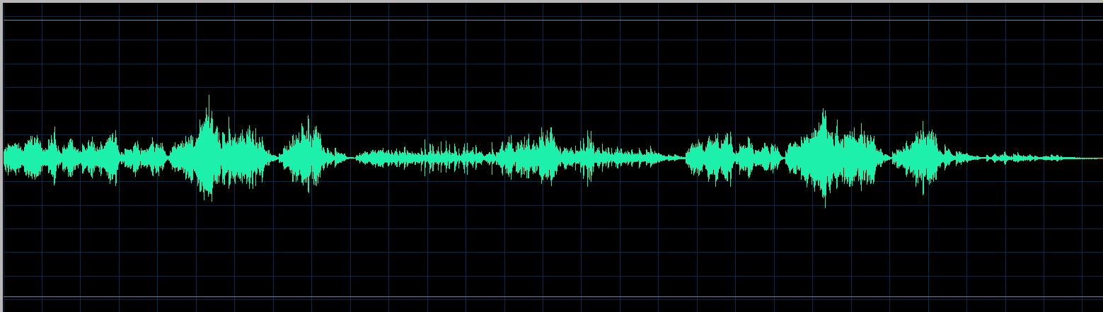 Rudy waveform