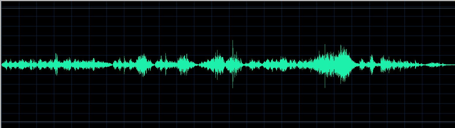 Rudy waveform
