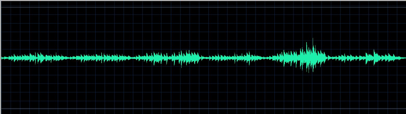 Mikhail Rudy waveform
