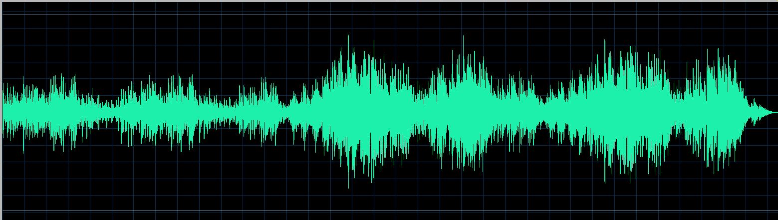 Mikhail Rudy waveform