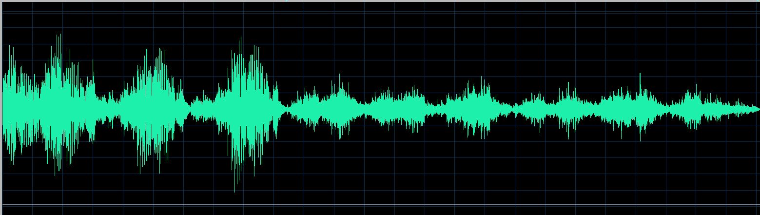 Mikhail Rudy waveform