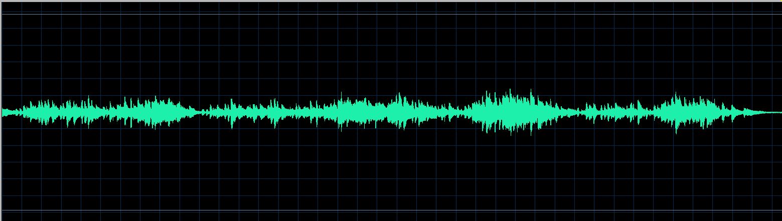 Mikhail Rudy waveform