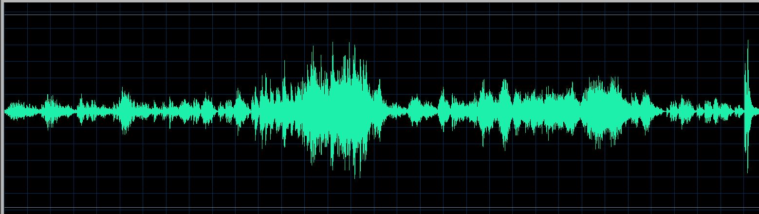 Nakamatsu waveform