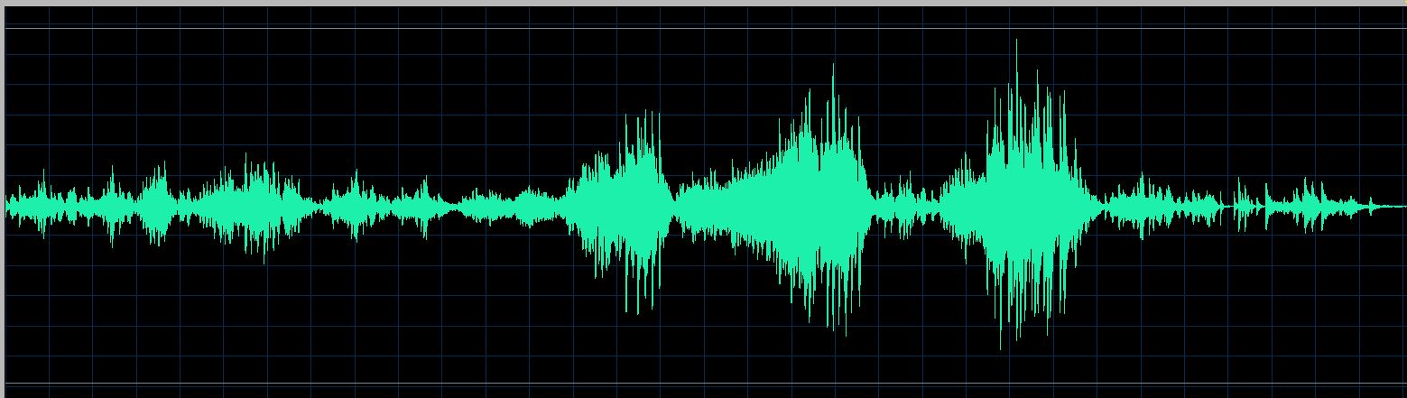 Gabriel Tacchino waveform