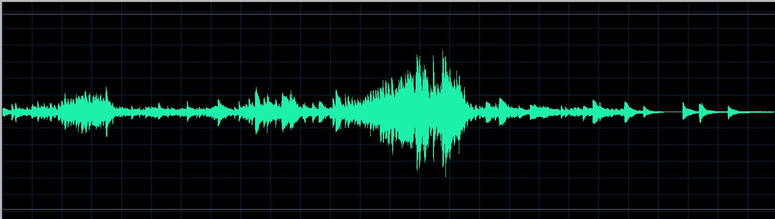 Gabriel Tacchino waveform