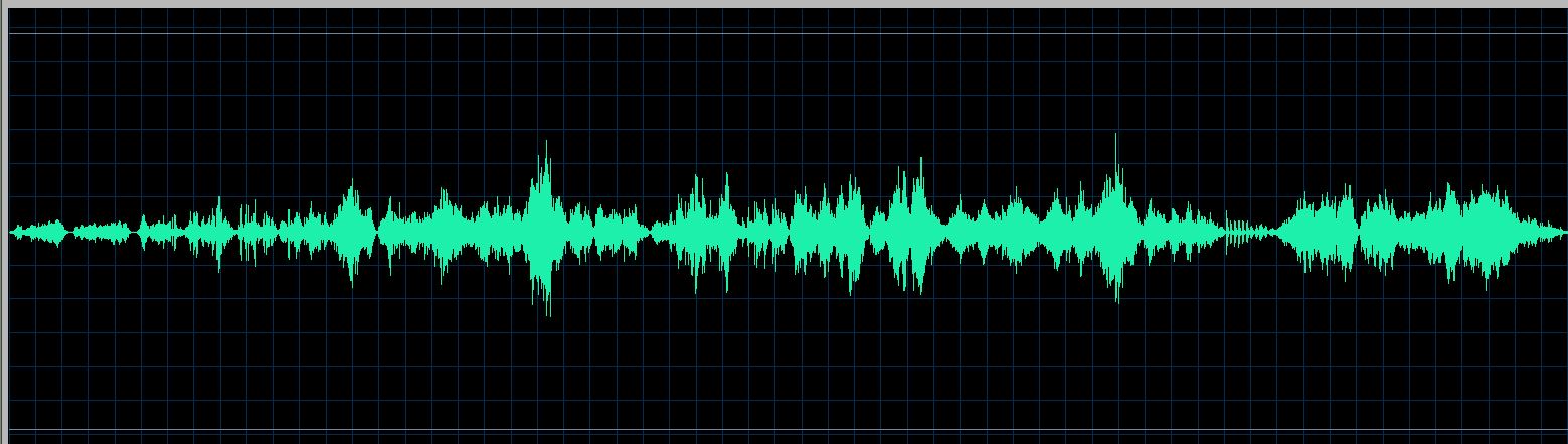 Anna Malikova waveform