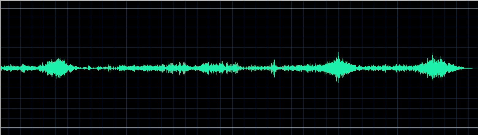 Evgeny Kissin waveform