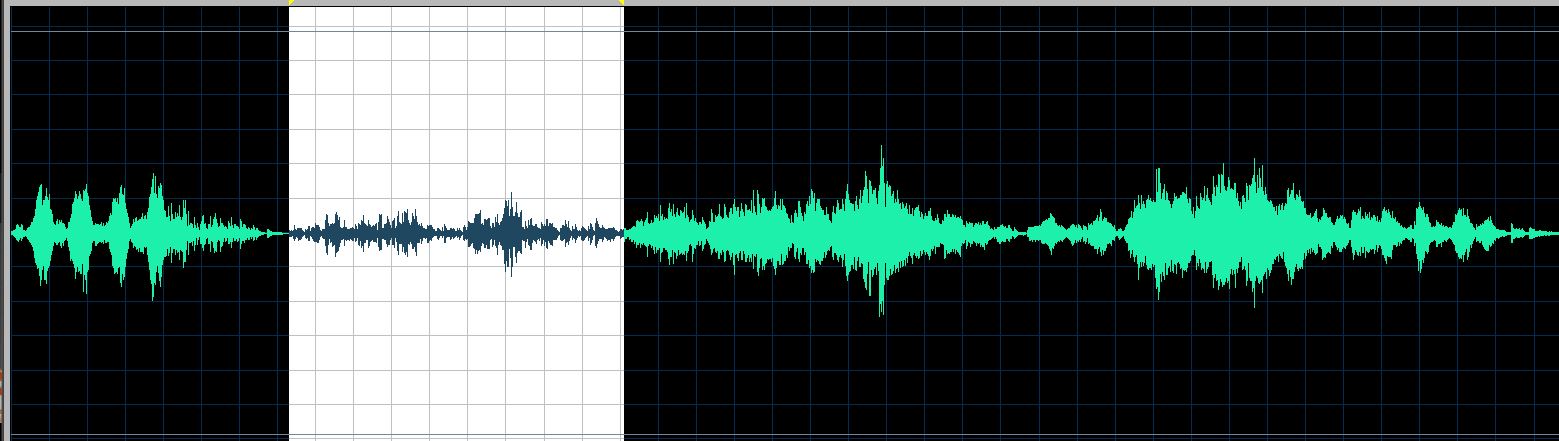 Rudy waveform