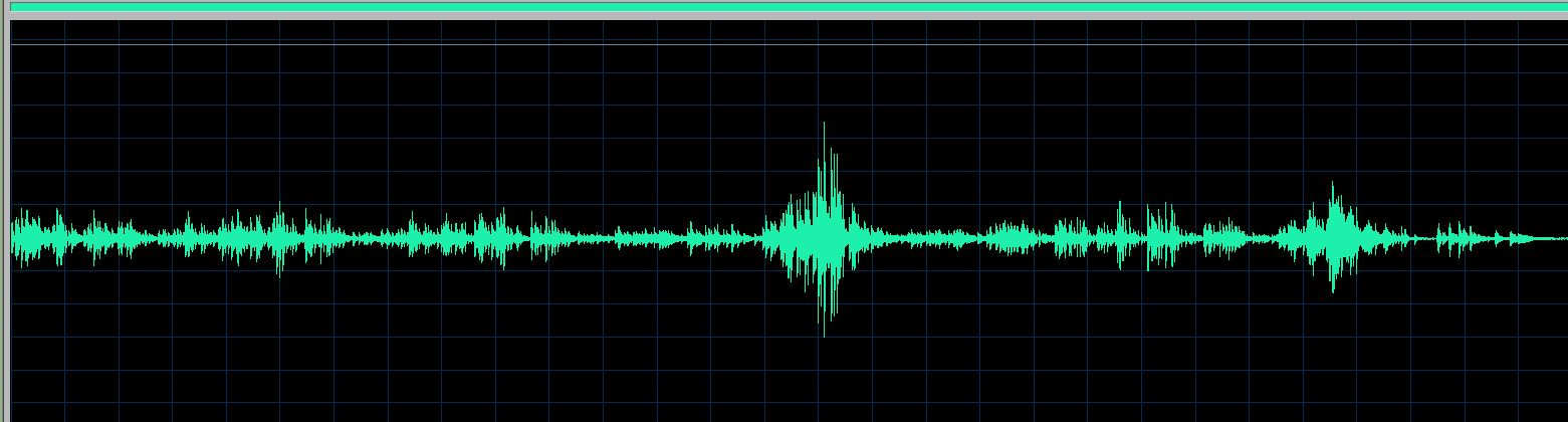 Roger Muraro waveform