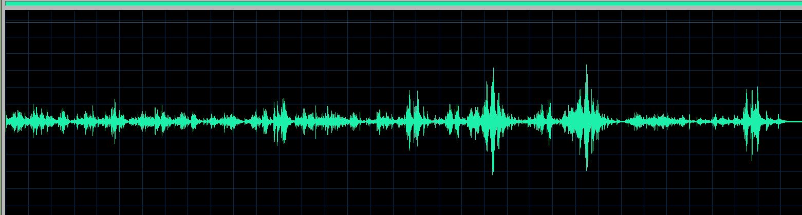 Roger Muraro waveform