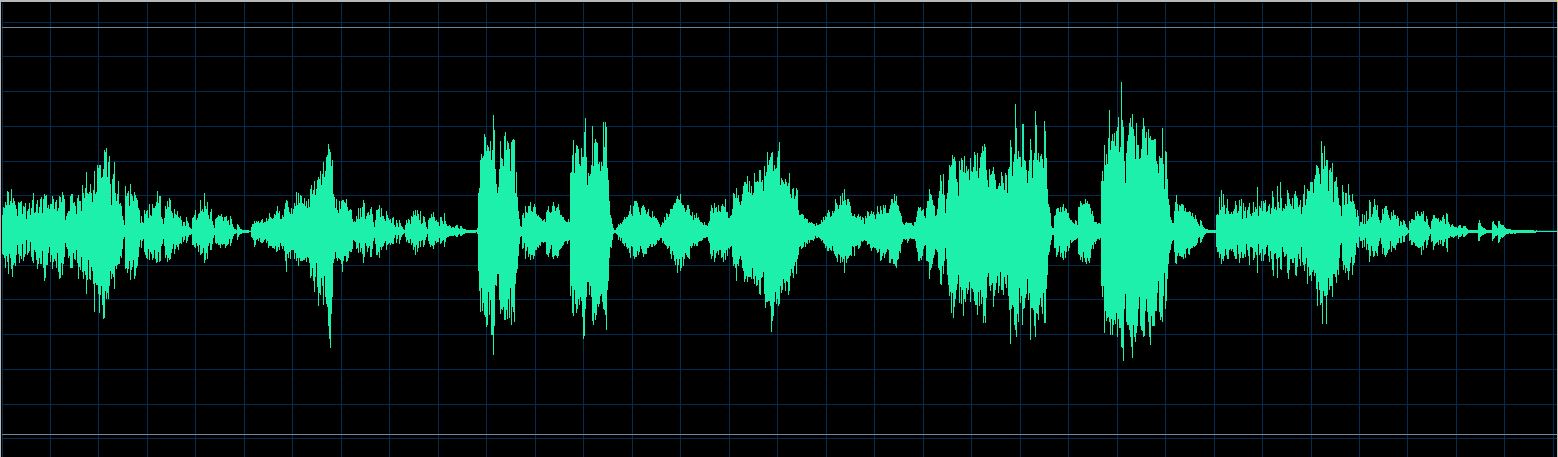 Maurizio Zanini waveform