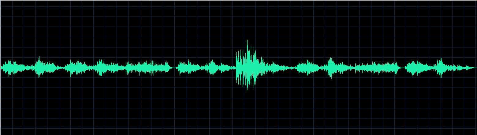 Christian Favre waveform