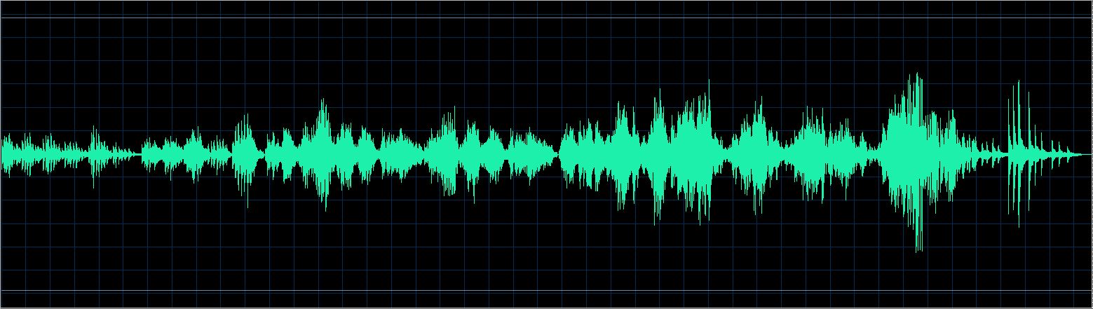 Christian Favre waveform
